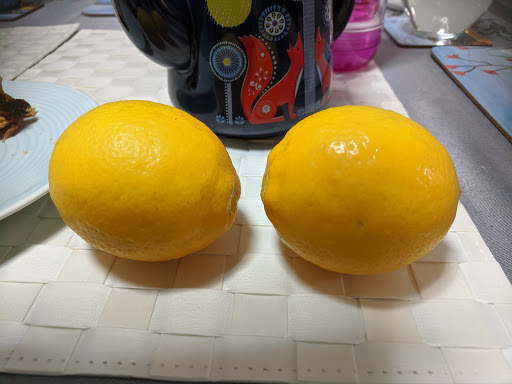 Lemons-2020-07-25