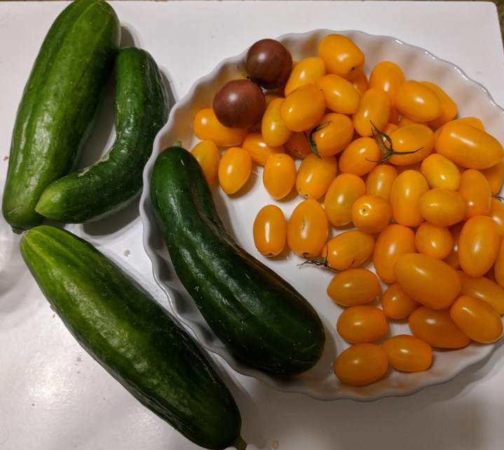 img_20190110_000204cucumbers and tomatoes
