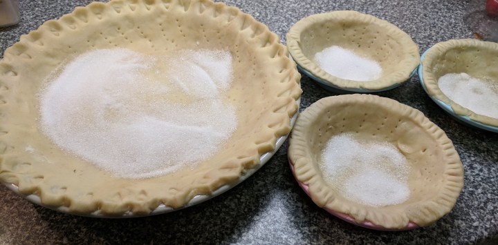 IMG_20190205_112340-Pie bases with sugar