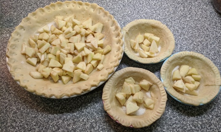 IMG_20190205_112542-Apples in pie