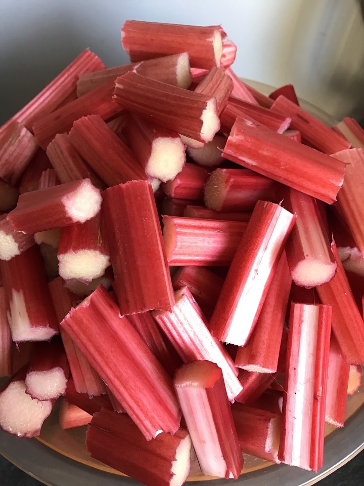 rhubarb-2229121_1920