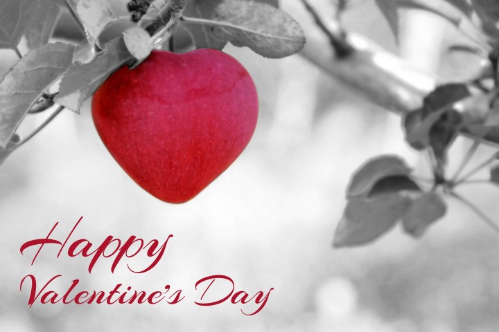 valentines-day-1186304_1920