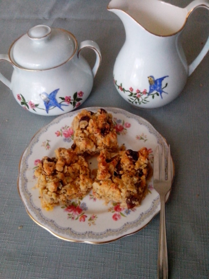 IMG_20151121_181954-Sandra's Oat and Cranberry slice