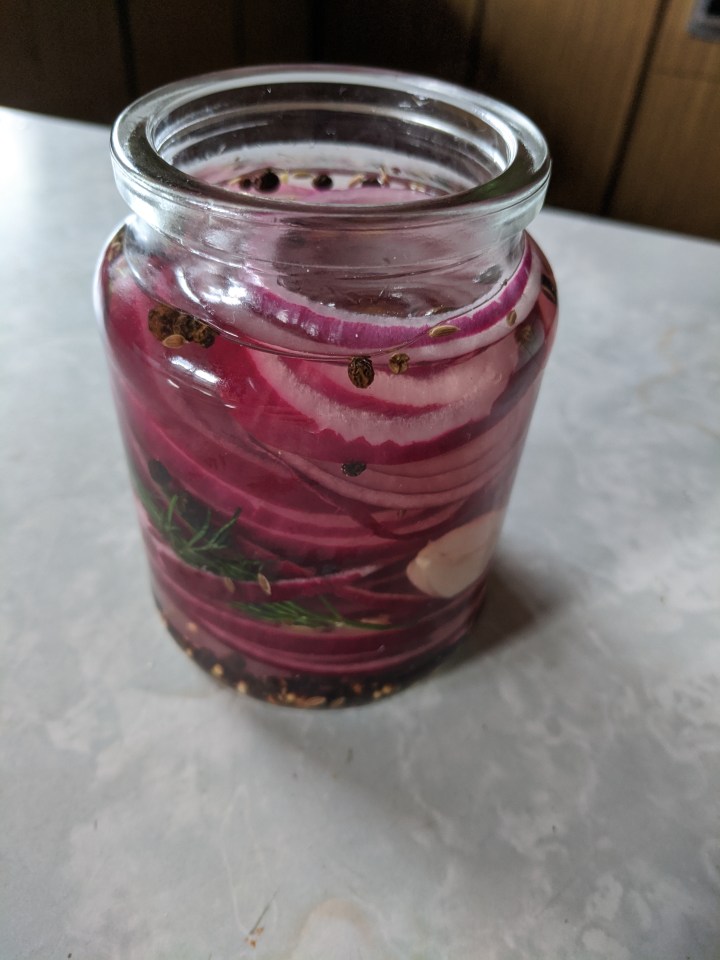 IMG_20201015_105550-Pickled red onion rings1