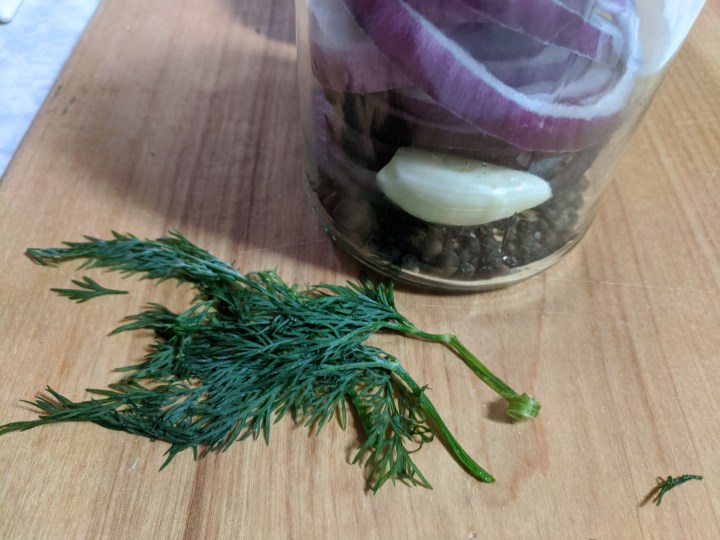 IMG_20201129_192624-Dill with red onion pickle