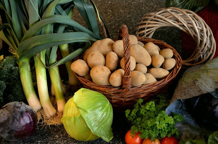 garden bounty-696164_1920
