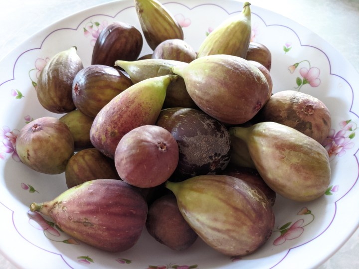 IMG_20200514_133512-Figs in a bowl